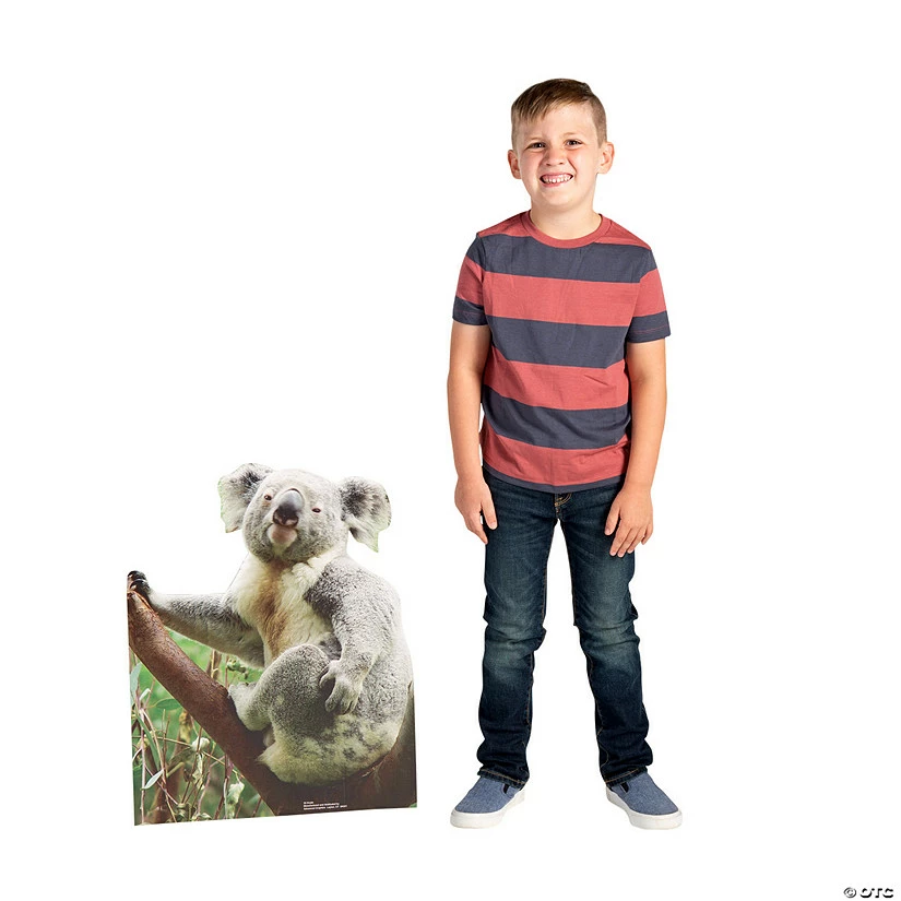 Top 10 π₯° Outback VBS Koala Stand-Up 𧨠- Image 2
