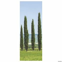 Cheap โ Ancient Greek Garden Cypress Scene Setter Background - 2 Pc. ๐