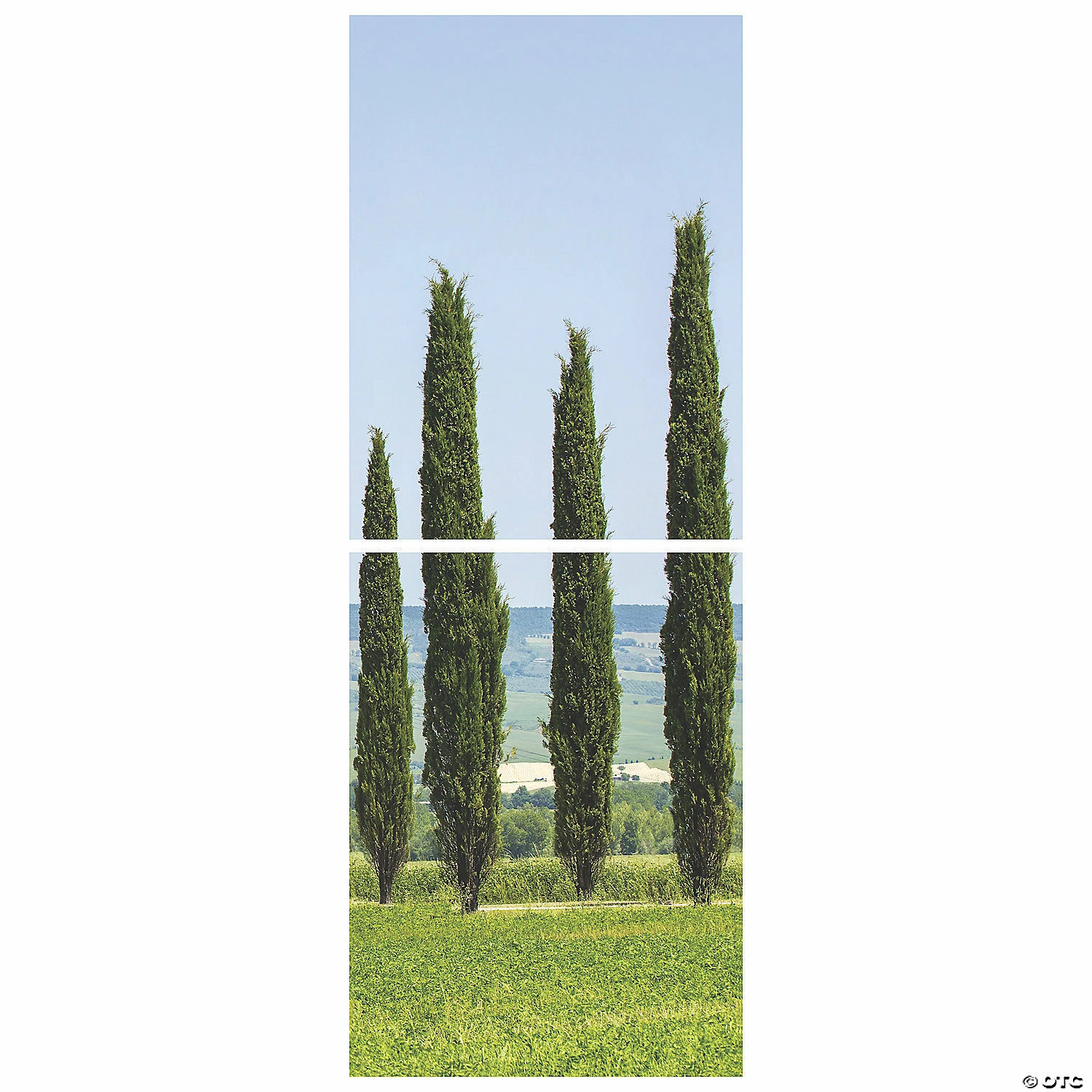 Cheap โ Ancient Greek Garden Cypress Scene Setter Background - 2 Pc. ๐ - Image 2