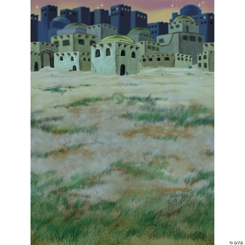 Deals 🛒 Design-A-Room 🔔 Christmas Nativity Bethlehem Town Backdrop 🔔