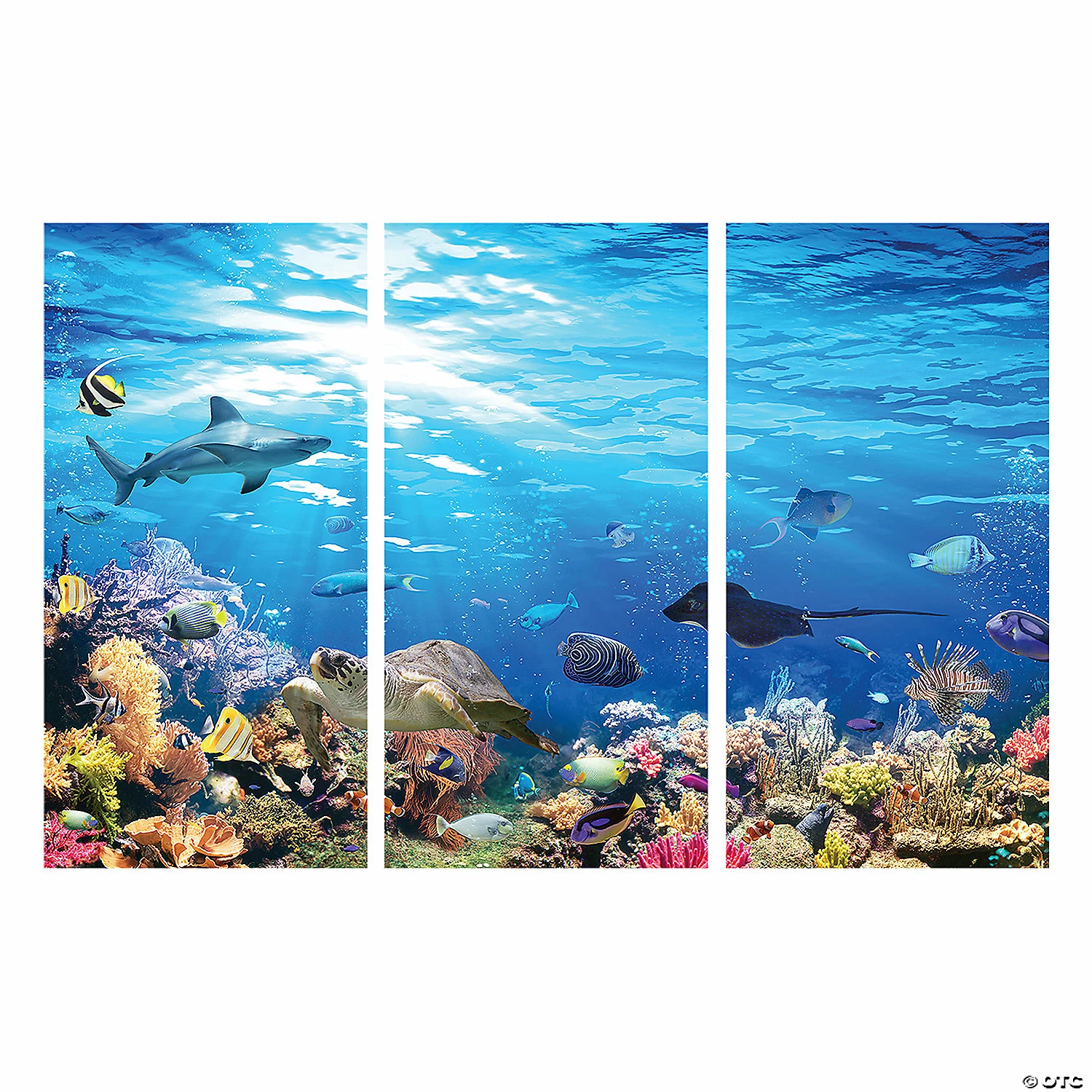 Hot Sale π€© Outback VBS Reef Backdrop π - Image 2