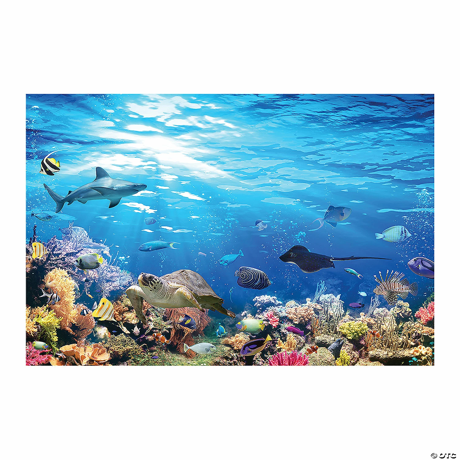 Hot Sale π€© Outback VBS Reef Backdrop π