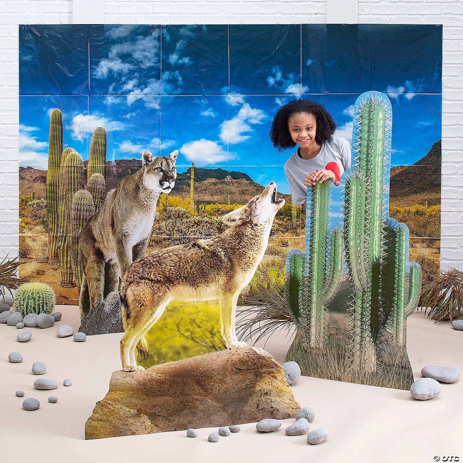 Promo ๐ Southwest VBS Cactus & Animal Scene Decorating Kit - 4 Pc. โ๏ธ