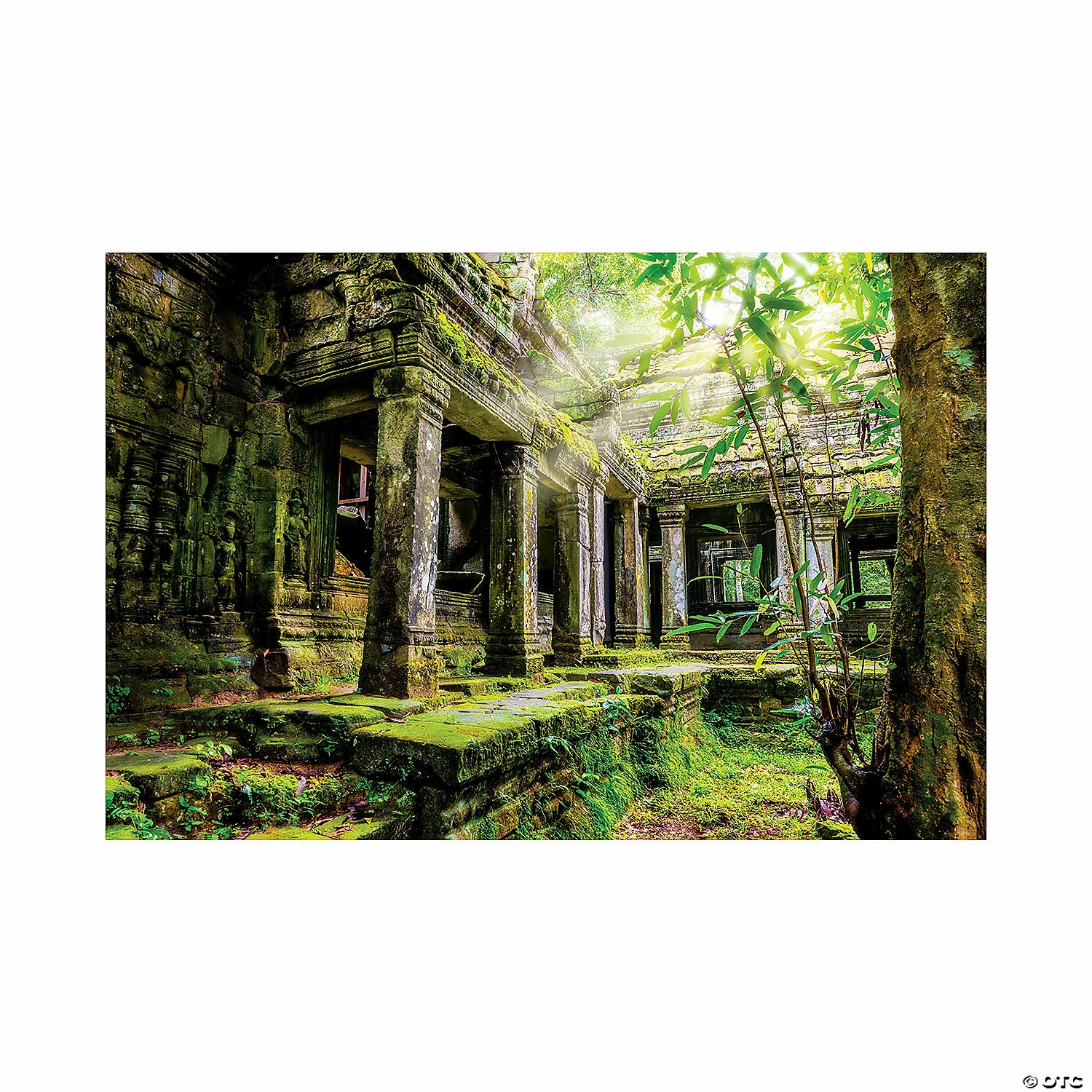 Deals 👏 Treasure Hunt Jungle Ruins Backdrop - 3 Pc. 🔥